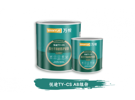 悦途TY-CS AB组份